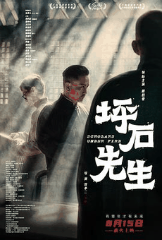 坪石先生电影海报在线看
